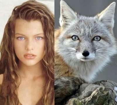 If celebrities Looked Like Animals