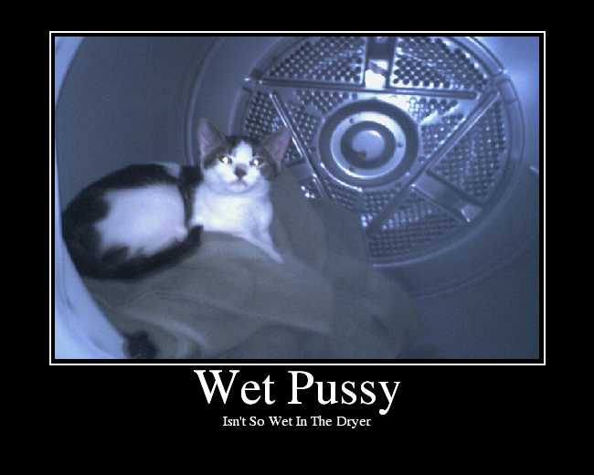 Isn't So Wet In The Dryer