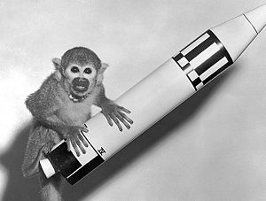 Animals in Space, 1958-1972