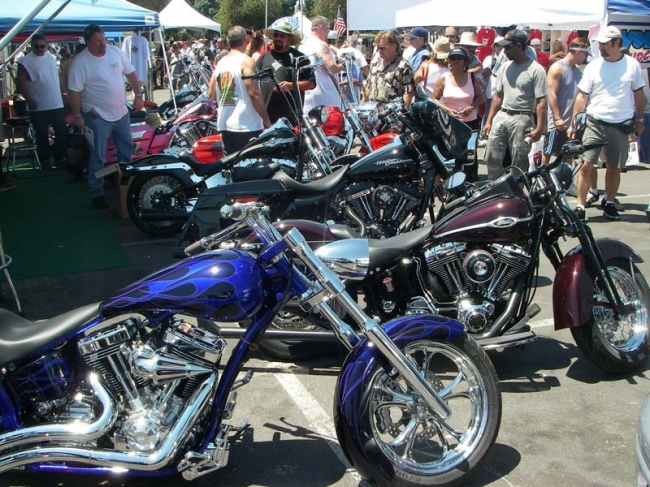 Motorcycles, Dirt Bikes, Choppers!