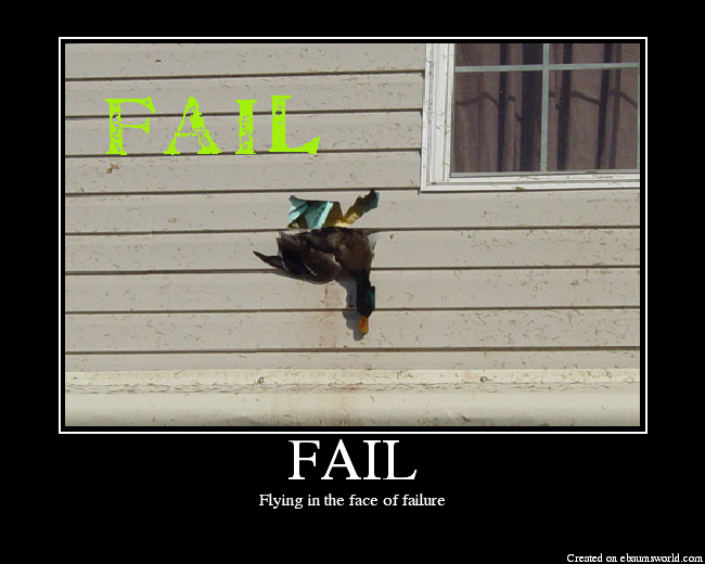 Flying in the face of failure