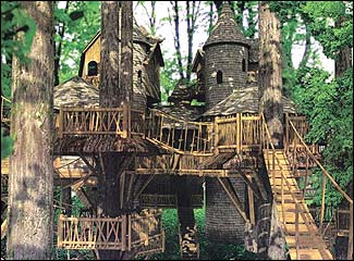 large treehouse