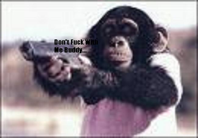 Dont make this chimp mad...