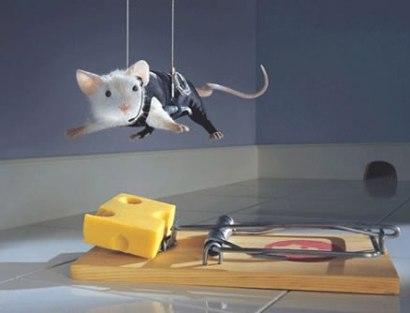 A little picture of a mouses mission impossible.