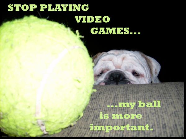 Ball more interactive then an Xbox!