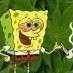 looks like this sponge had too much seaweed  LOL