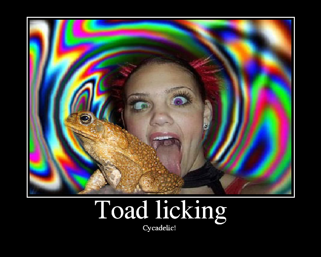 Toad Licking Picture Ebaums World