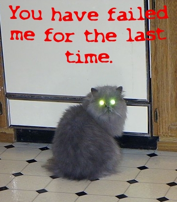 you ve failed me for the last time cat - You have fail me for the la time.