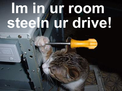 cat with screwdriver - Im in ur room steeln ur drive!
