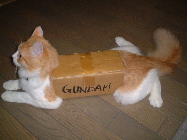 cat gundam box - Gundam