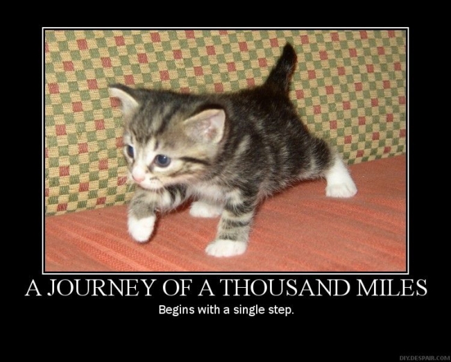 photo caption - A Journey Of A Thousand Miles Begins with a single step. Diy.Despair.Com