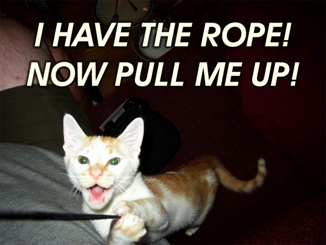 photo caption - I Have The Rope! Now Pull Me Up!