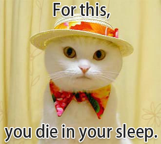 lol cats - For this, you die in your sleep.