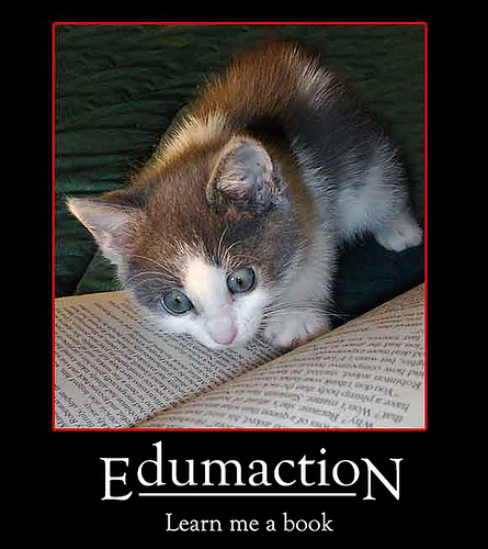 edumacation learn me a book - Ay Wedder 4 Cnn Ron O Pinion hawar Re A Ah EdumactioN Learn me a book