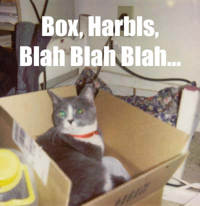 photo caption - Box, Harbis, Blah Blah Blah...