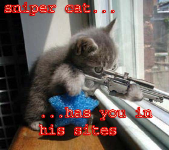 schloss burg - sniper cat... has you in his sites