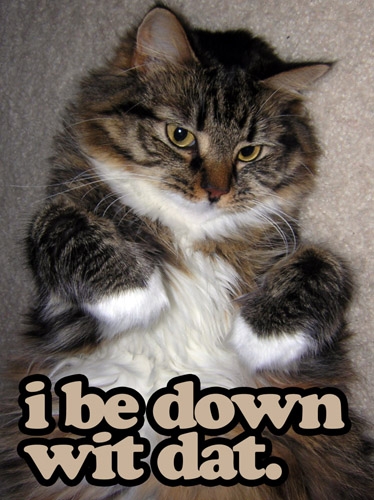 whiskers - i be down Wit dat.