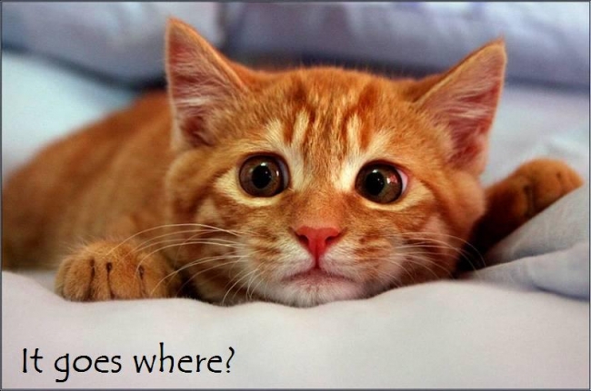kitty kitten pacifier - It goes where?