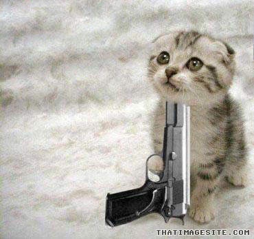 cat with guns - Thatimagesite.Com