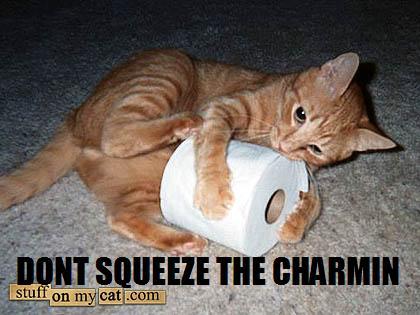 whiskers - Dont Squeeze The Charmin stuff on my cat.com