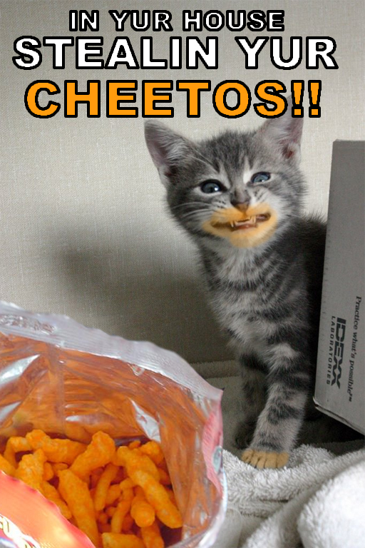 cheeto kitty - In Yur House Stealin Yur Cheetos!! Laboratories Practice what's possible