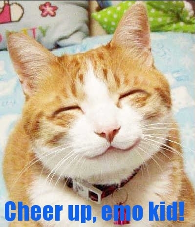 cute happy kitty - Cheer up, e fo kid!