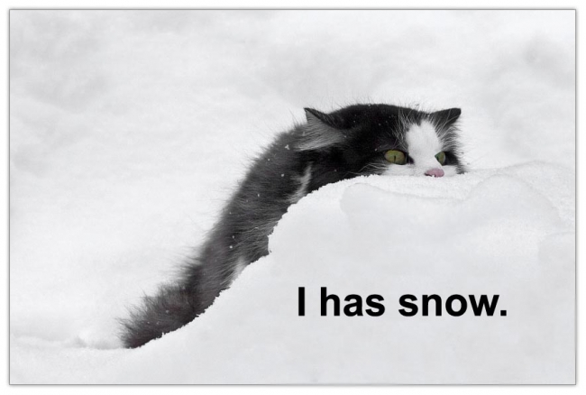has snow - I has snow.