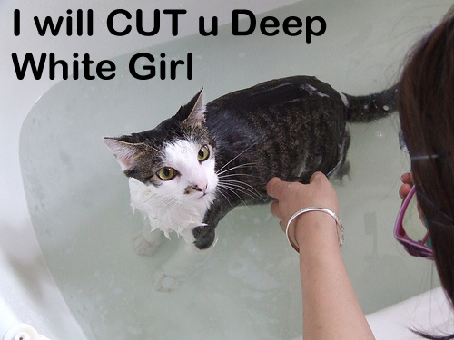 will cut u cat - I will Cut u Deep White Girl