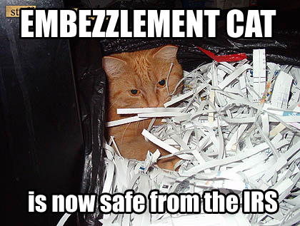 photo caption - Embezzlement Cat is now safe from the Irs