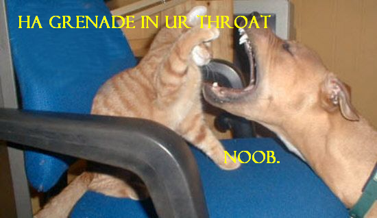 cat vs dog - Ha Grenade In Urthroat Noob.