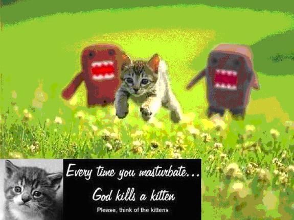 every time you masturbate god kills a kitten - Every time you masturbate... God kills a kitten Please, think of the kittens