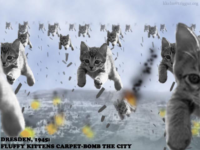 kitty bomb - kkelm.org Dresden, 1945 Fluffy Kittens CarpetBomb The City