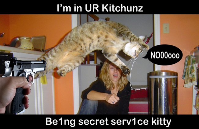photo caption - I'm in Ur Kitchunz NO00000 Being secret serv1ce kitty