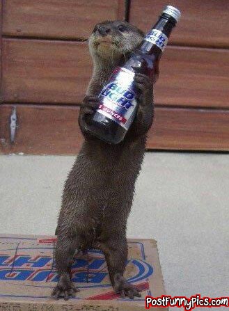 funny picture of an otter holding an ice cold Bud Light