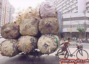Funny picture of man hauling a large load with his bicycle