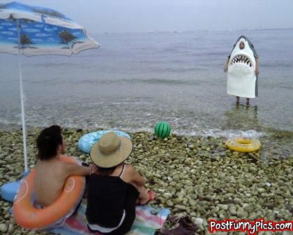 funny picture of man wearing shark suit