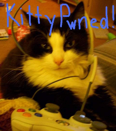Happy Caturday!  This is my cat Socks playing COD4.