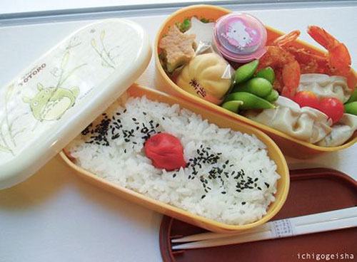 japanese lunch box ichigogeisha