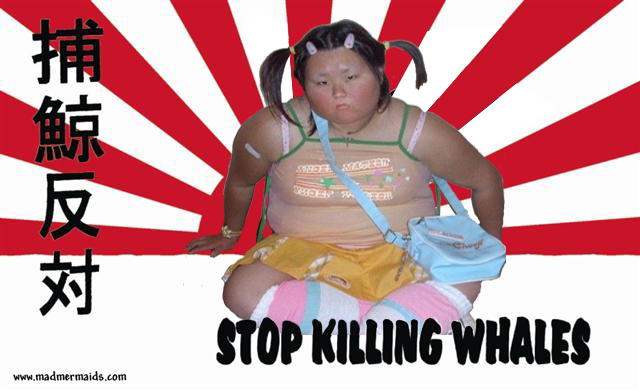 Stop killing the Whales!