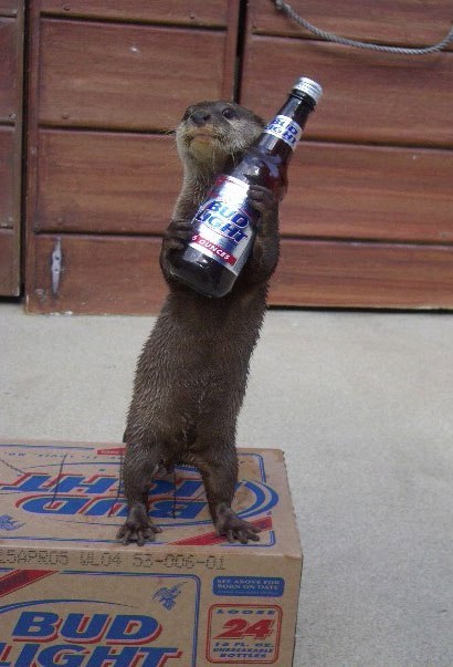 Prefered By More Otters Than Any Other Light Beer