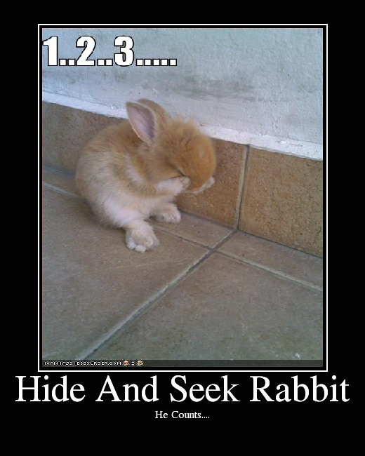 Hide And Seek Rabbit Picture eBaum's World