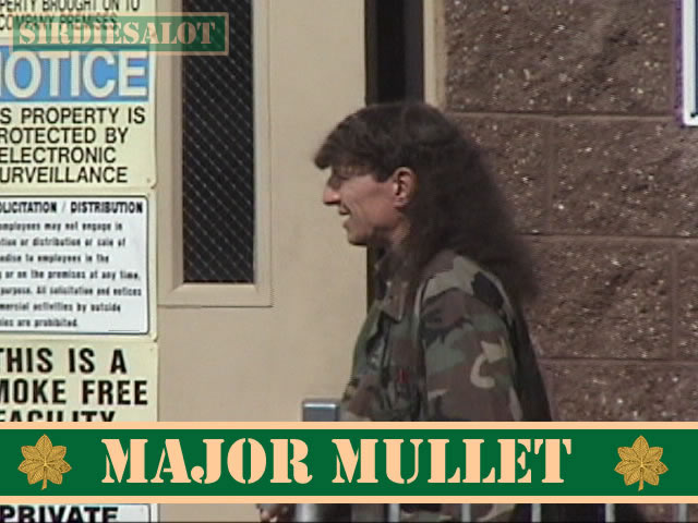 A mullet this major is self-explanatory
