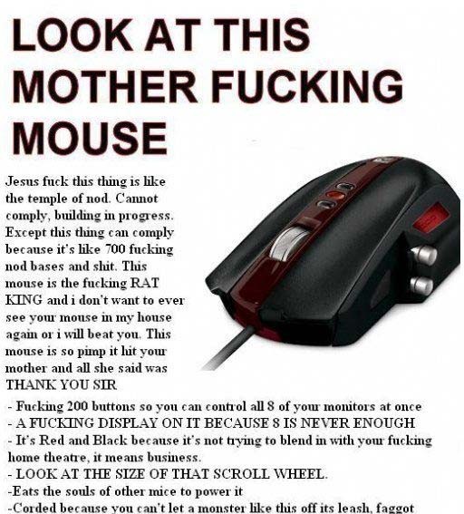 Look at this motherfcking mouse