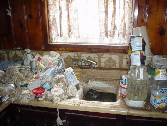Here is how a guy lived for 20 years with his 15 cats and 5 dogs