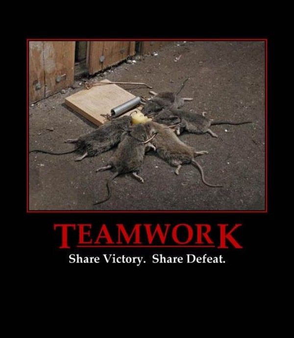 Teams share in victory, AND defeat.