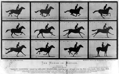 Eadweard Muybridge - The Horse in Motion (1878) 