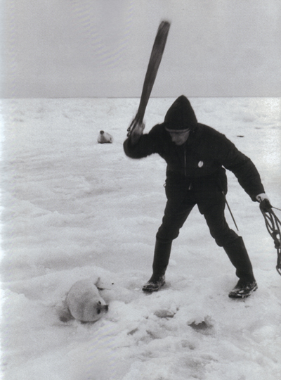Duncan Cameron - Canadian Seal Hunt (1969)