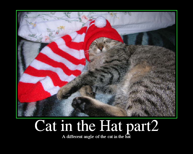 A different angle of the cat in the hat