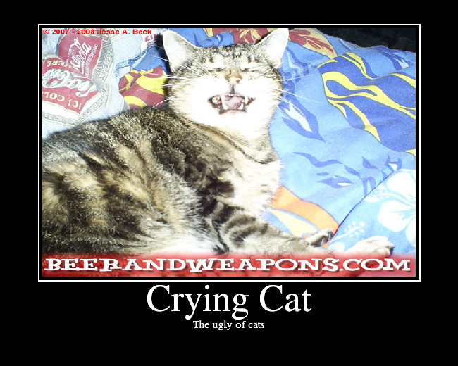 Crying Cat - Picture | eBaum's World