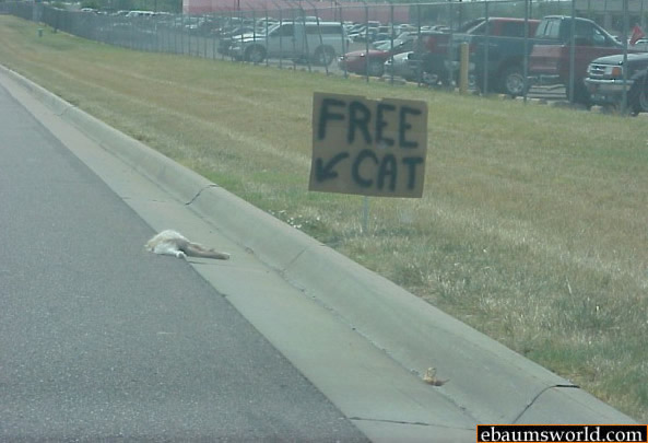 Ummmm..... like the sign says FREE CAT